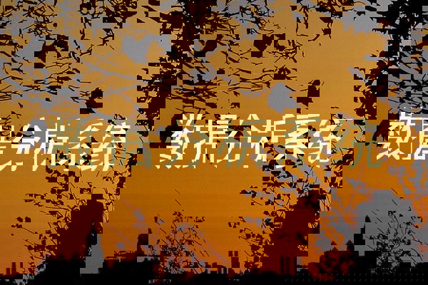数据分析系统