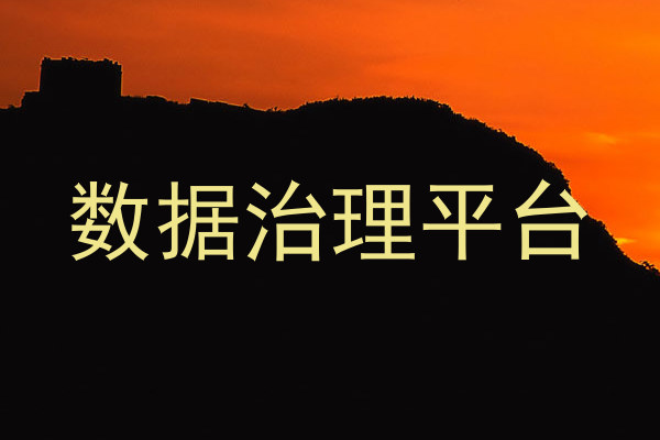 数据治理平台