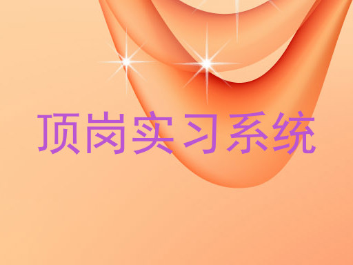顶岗实习系统
