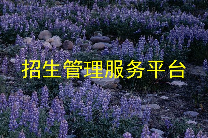 招生管理服务平台