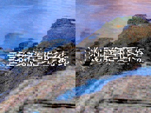 主数据管理系统