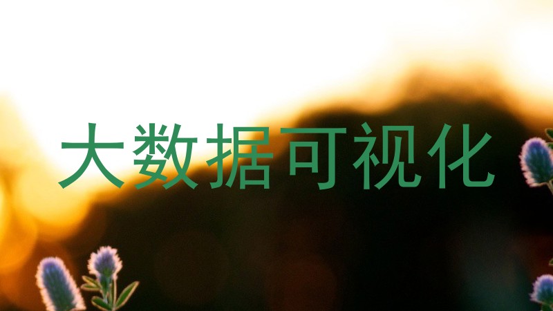 大数据可视化