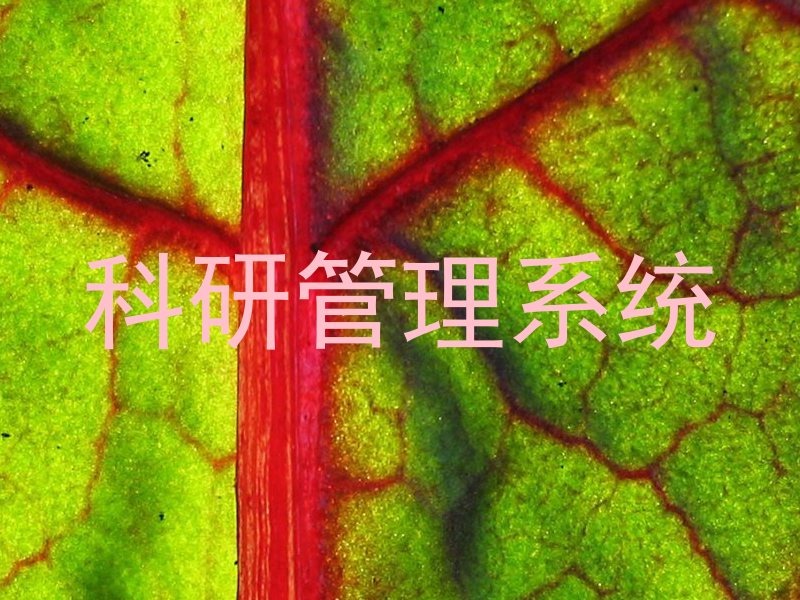 科研管理系统