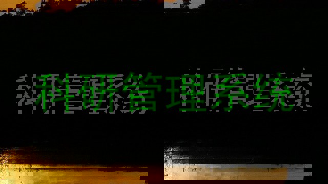 科研管理系统