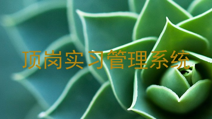 顶岗实习管理系统