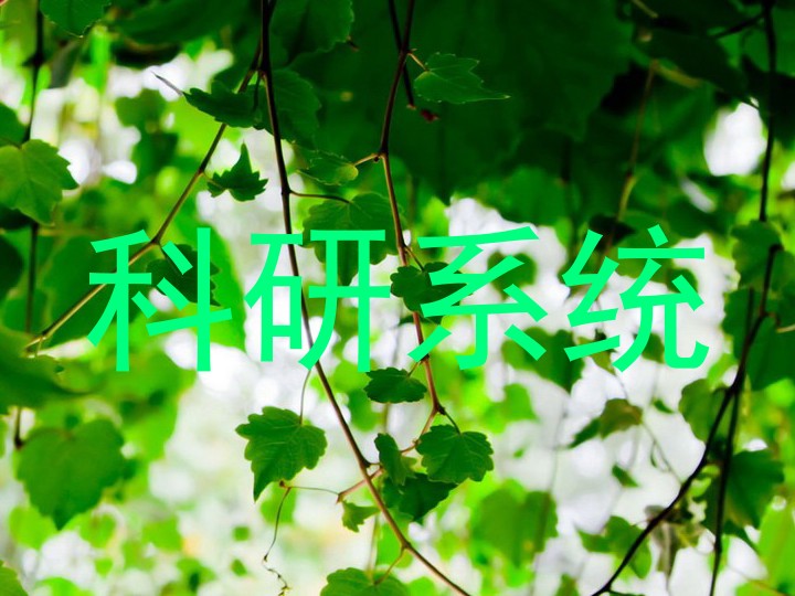 科研系统