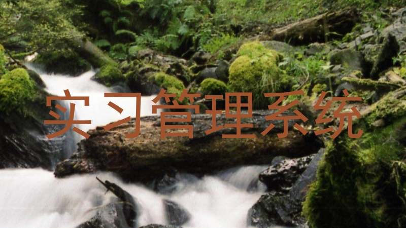 实习管理系统