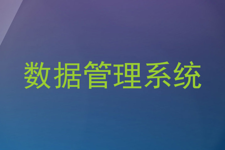 数据管理系统