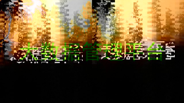 大数据管理平台