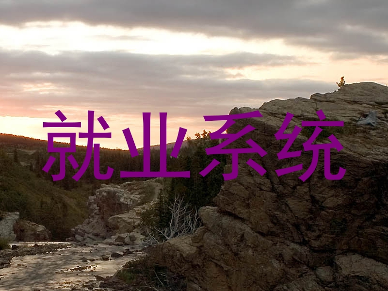 就业系统