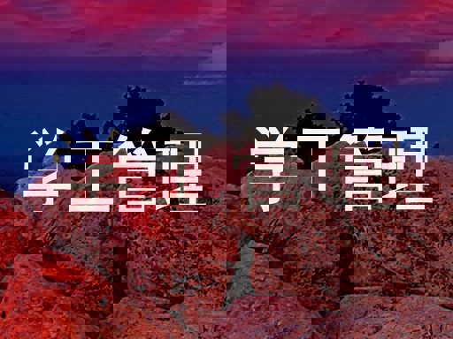 学工管理