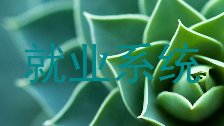 就业系统