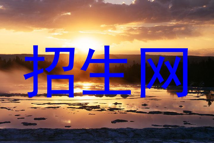 招生网