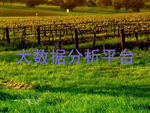 大数据分析平台