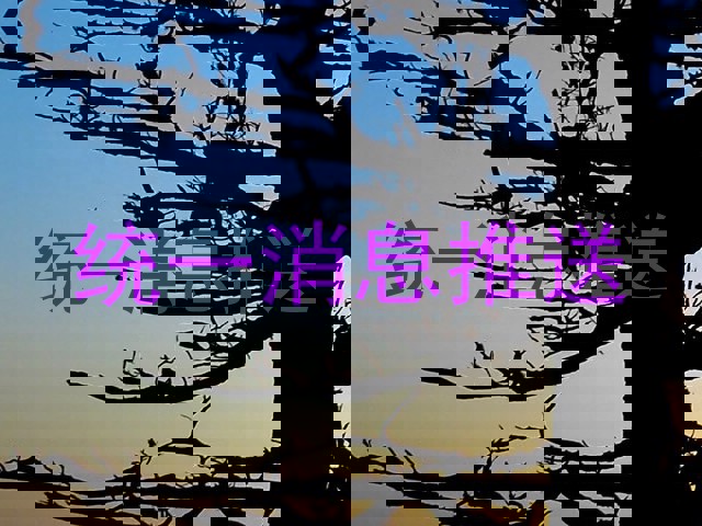 统一消息推送