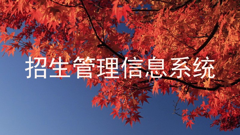招生管理信息系统