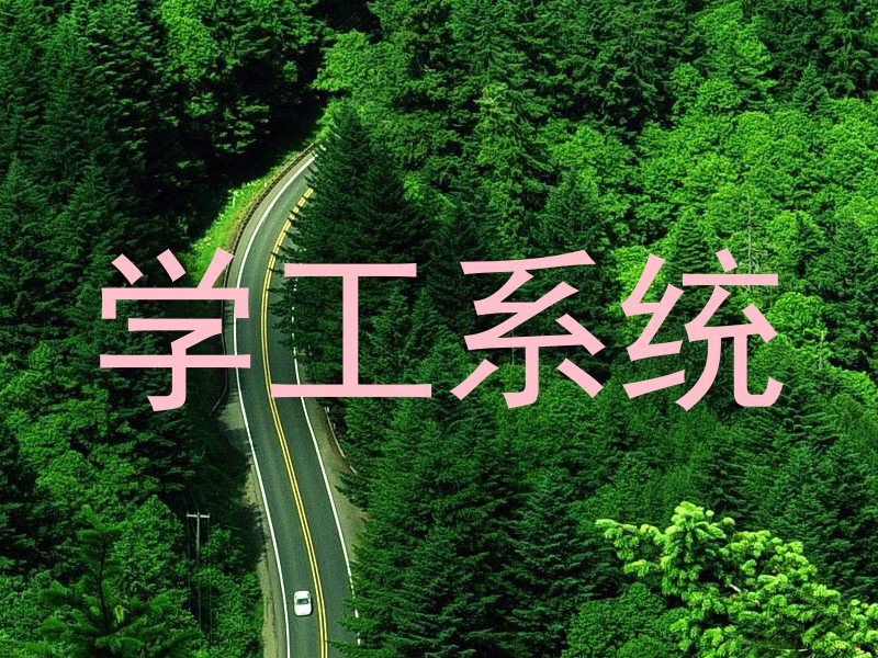 学工系统