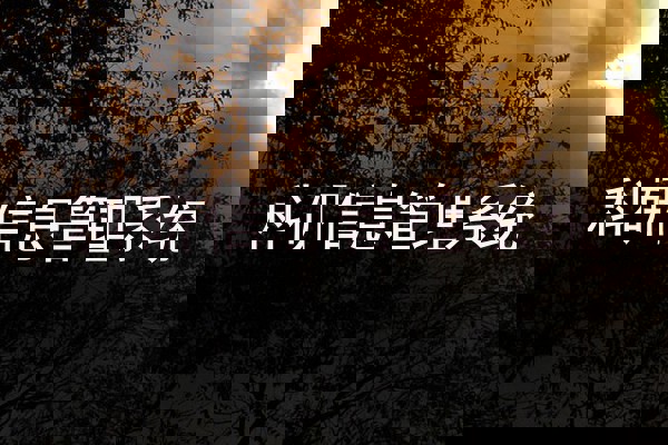 科研信息管理系统