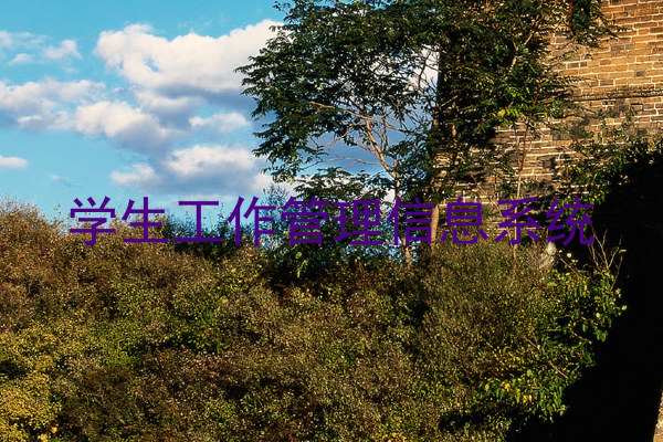 学生工作管理信息系统