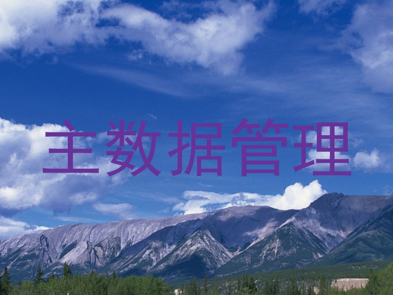 主数据管理
