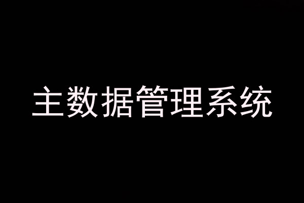 主数据管理系统