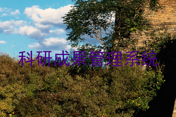 科研成果管理系统