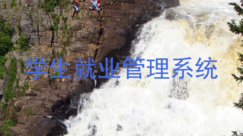 学生就业管理系统