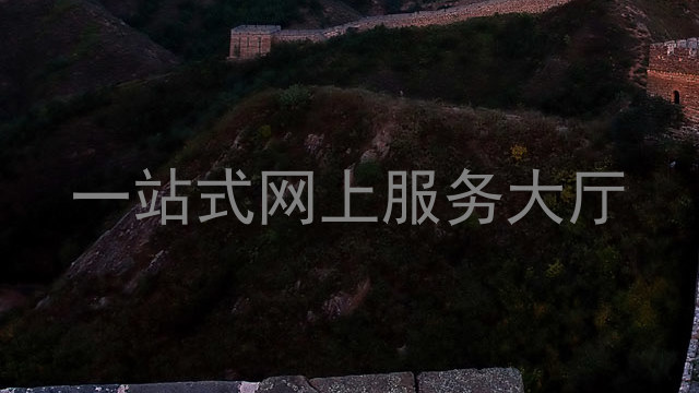 一站式网上服务大厅