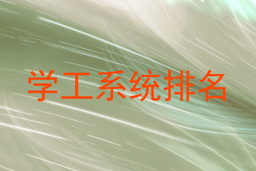 学工系统排名