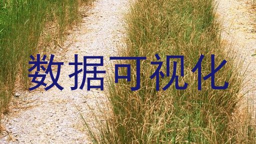 数据可视化