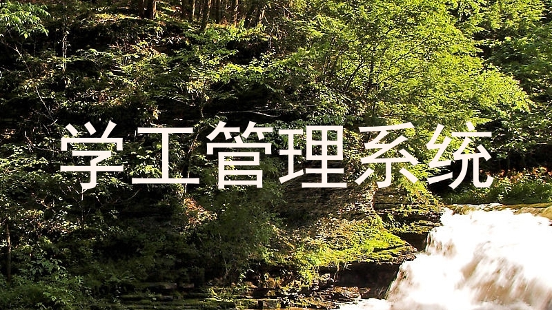 学工管理系统