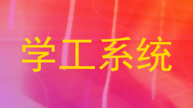 学工系统