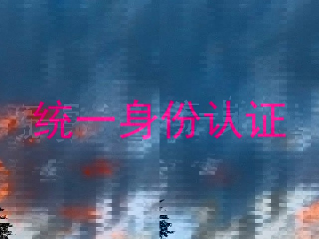 统一身份认证