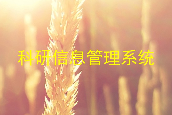 科研信息管理系统