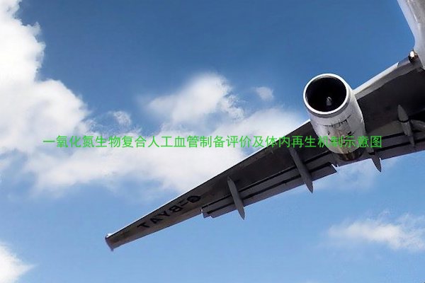 一氧化氮生物复合人工血管制备评价及体内再生机制示意图