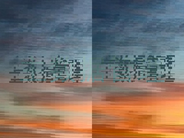 主数据管理