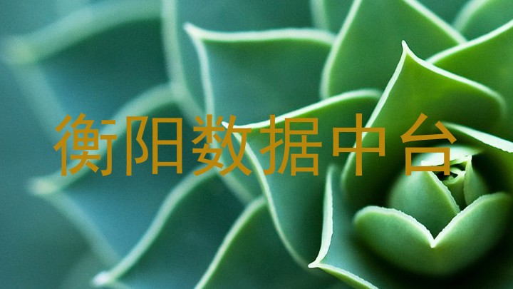 衡阳数据中台