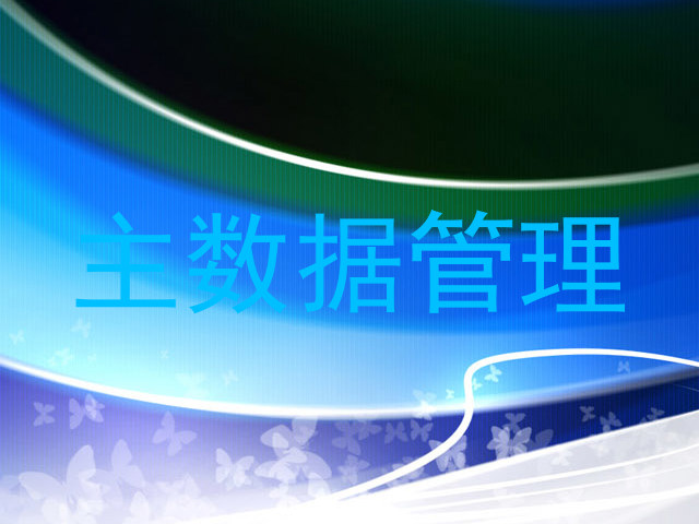 主数据管理