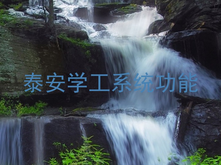 泰安学工系统功能