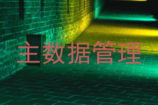 主数据管理