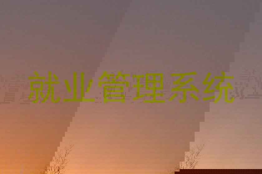 就业管理系统