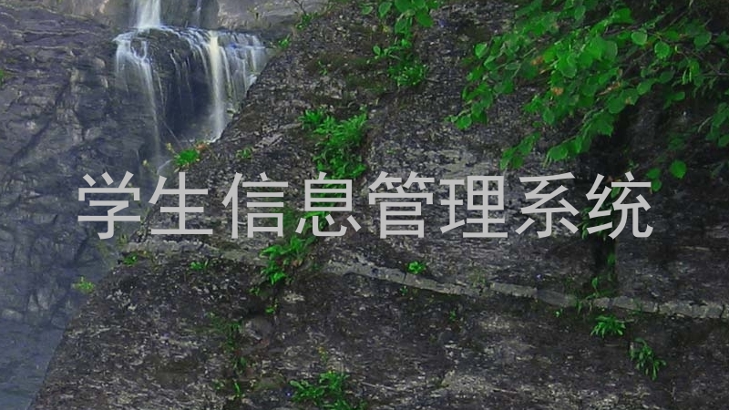 学生信息管理系统
