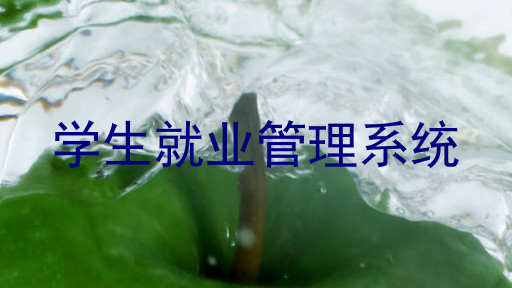 学生就业管理系统