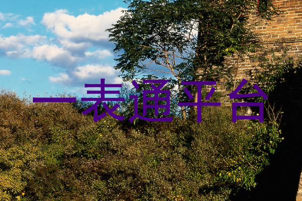 一表通平台