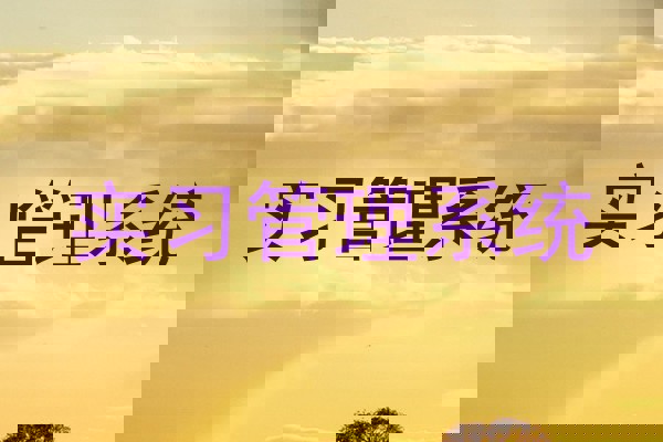 实习管理系统