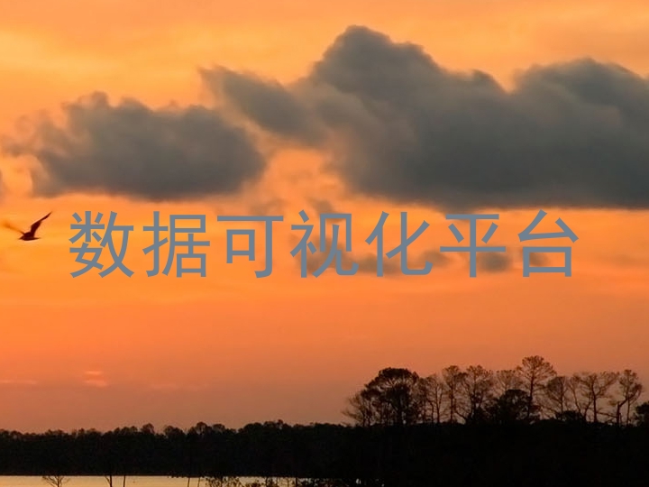 数据可视化平台
