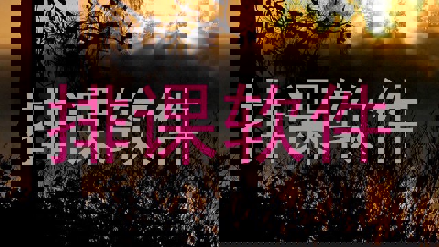排课软件