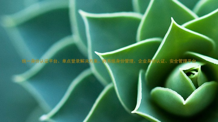 统一身份认证平台、单点登录解决方案、跨系统身份管理、企业身份认证、安全管理平台