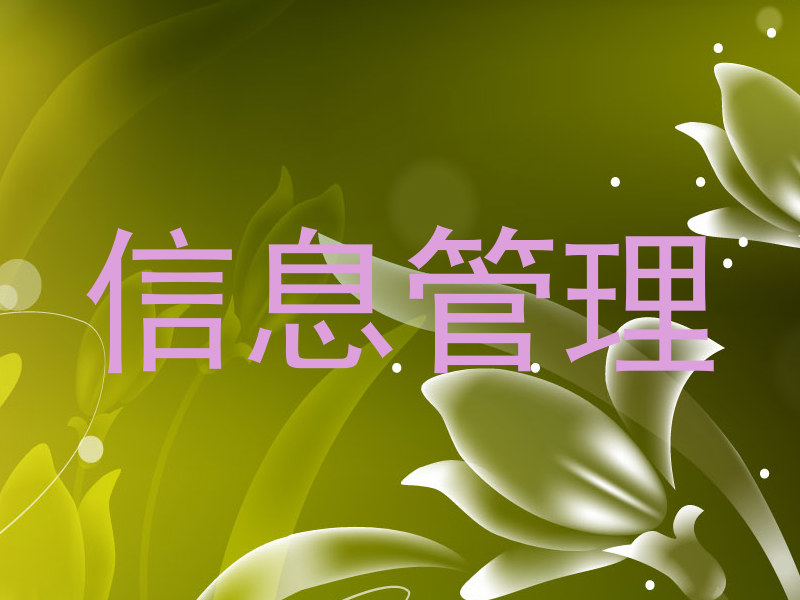 信息管理