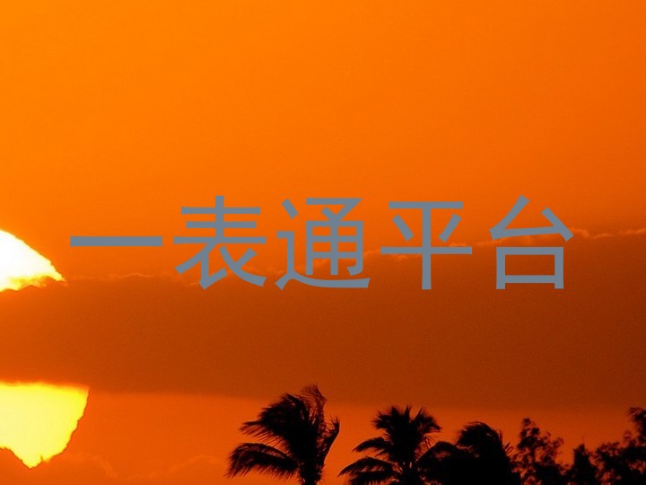 一表通平台